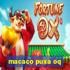 macaco puxa oq